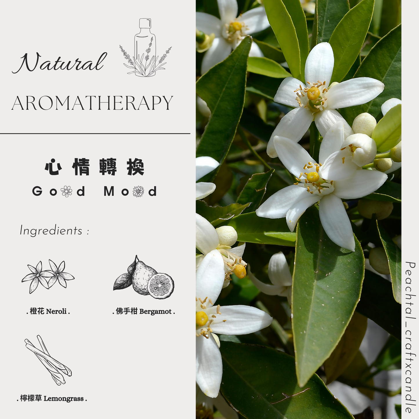 ☪早晨喚醒必備:心情轉換Good Mood