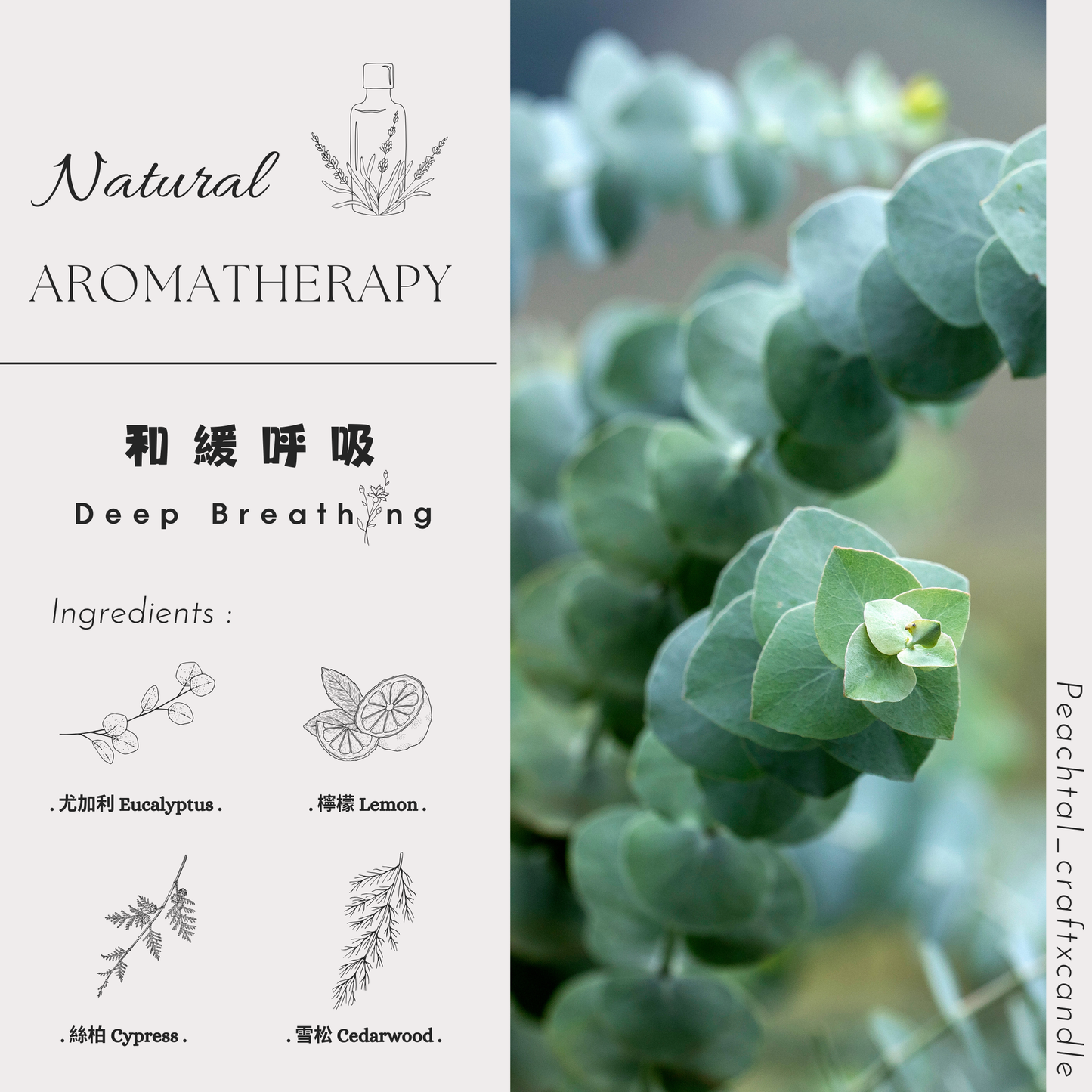 ☪通鼻效果,集中精神:和緩呼吸Deep Breathing