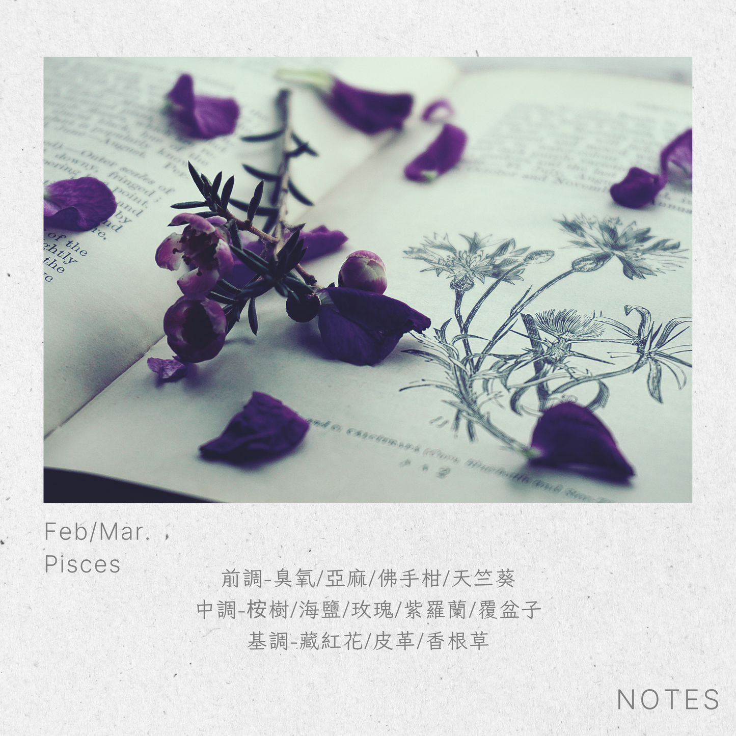 Pisces-PetrichorVioletPisces-PetrichorViolet