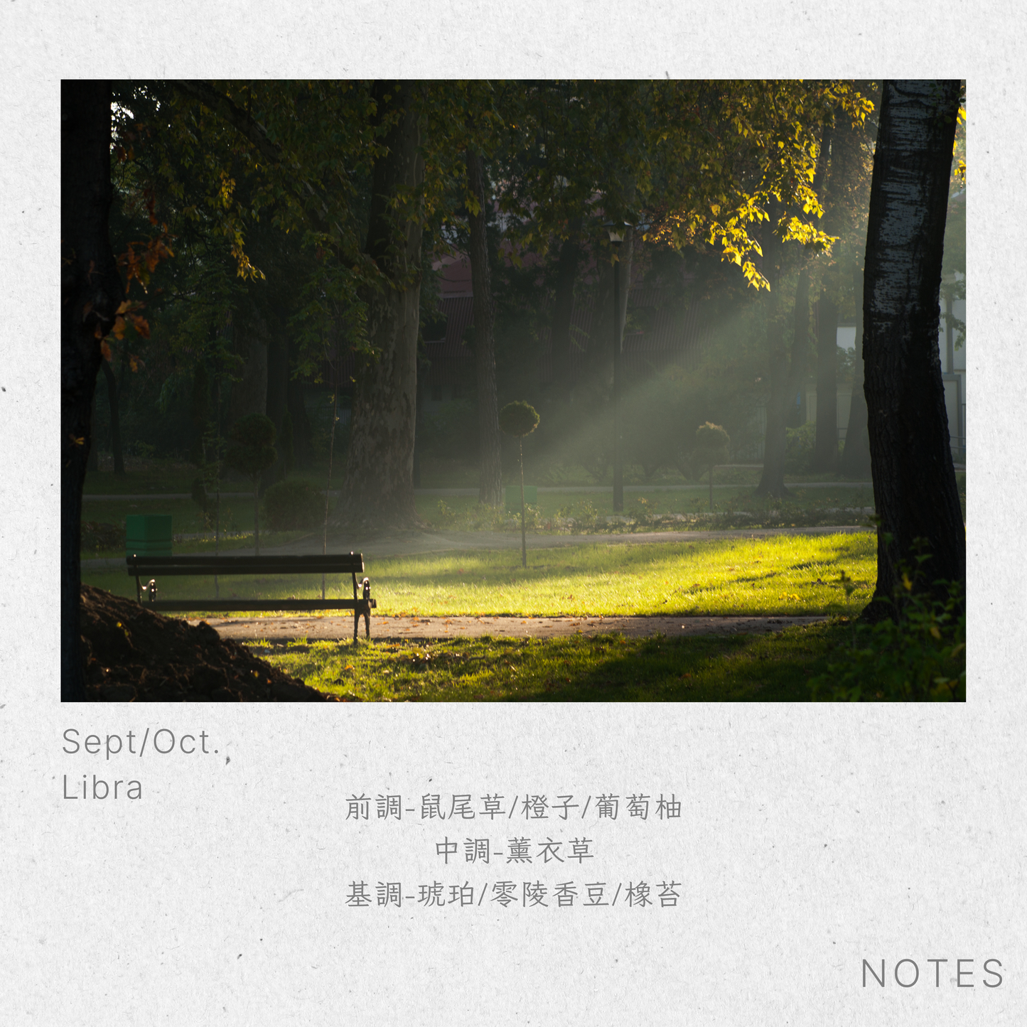 天秤座-晨曦鼠尾草Libra-DawnSage