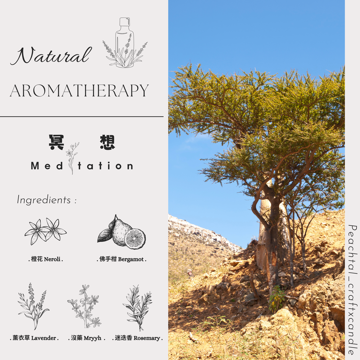 ☪做瑜伽前中後使用:冥想