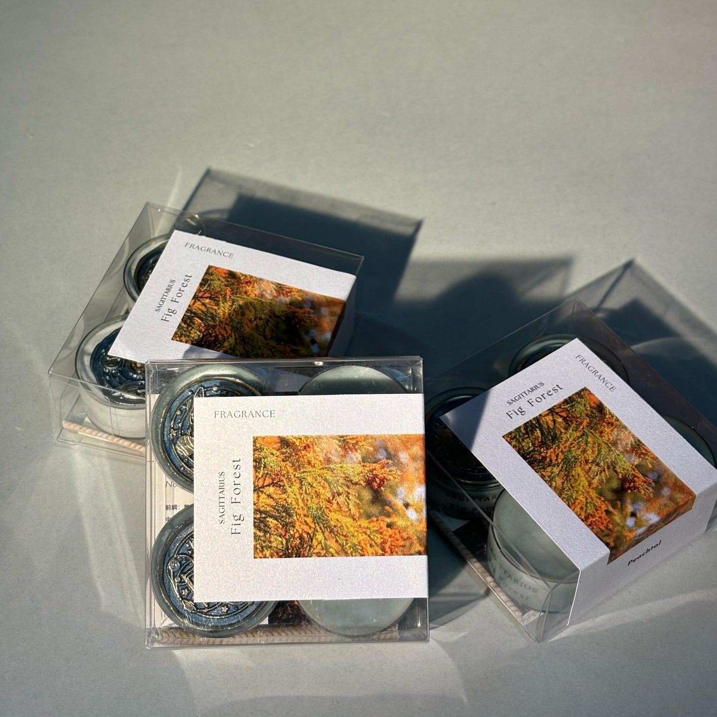 射手座-無花果森林Sagittarius-FigForest