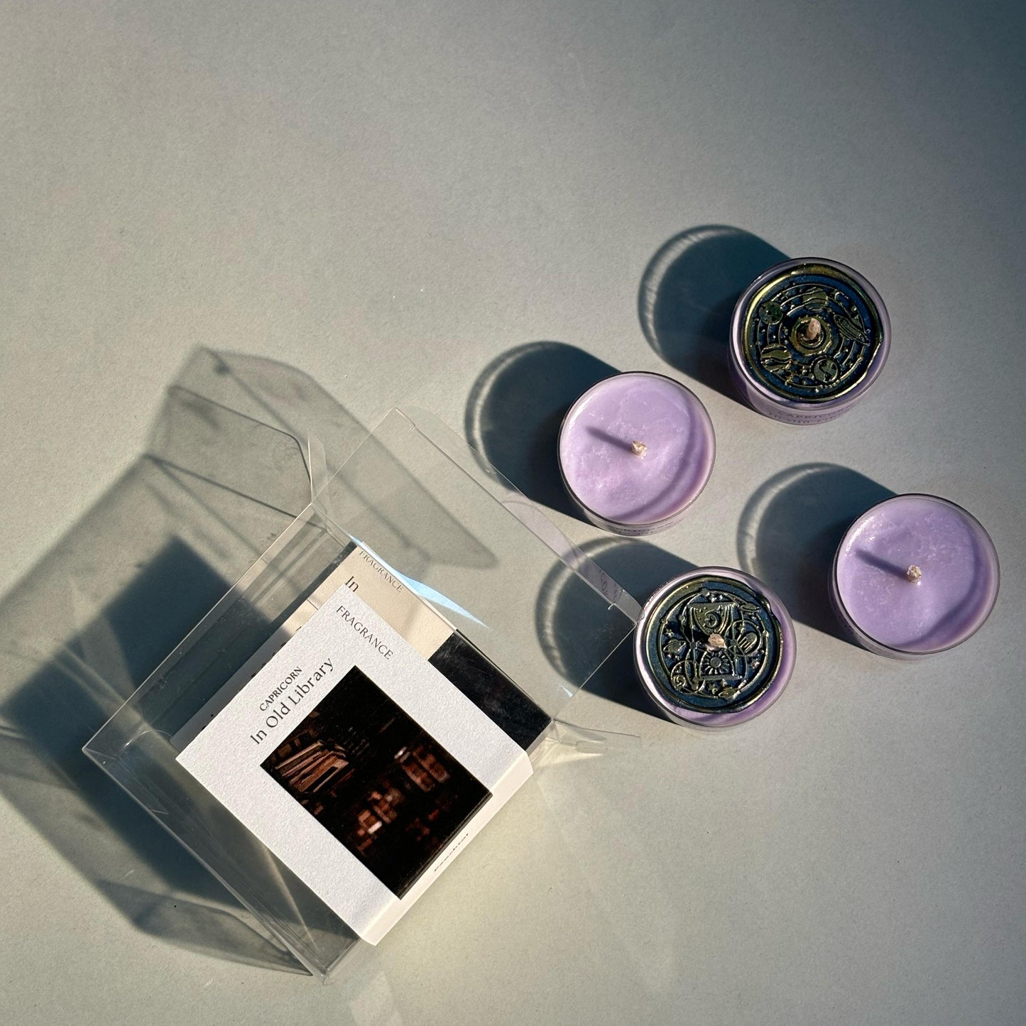 摩羯座-舊圖書館Capricorn-InOldLibrary