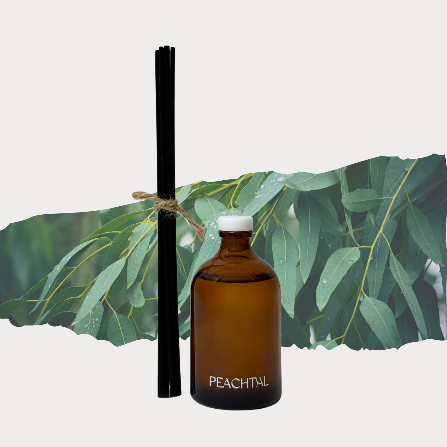 吸臭大笨象DeepBreathing-芳療小棕瓶