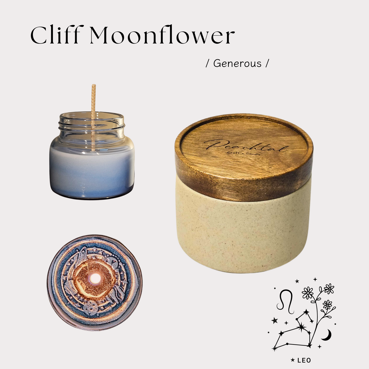 獅子座-懸崖月光花Leo-CliffMoonflower