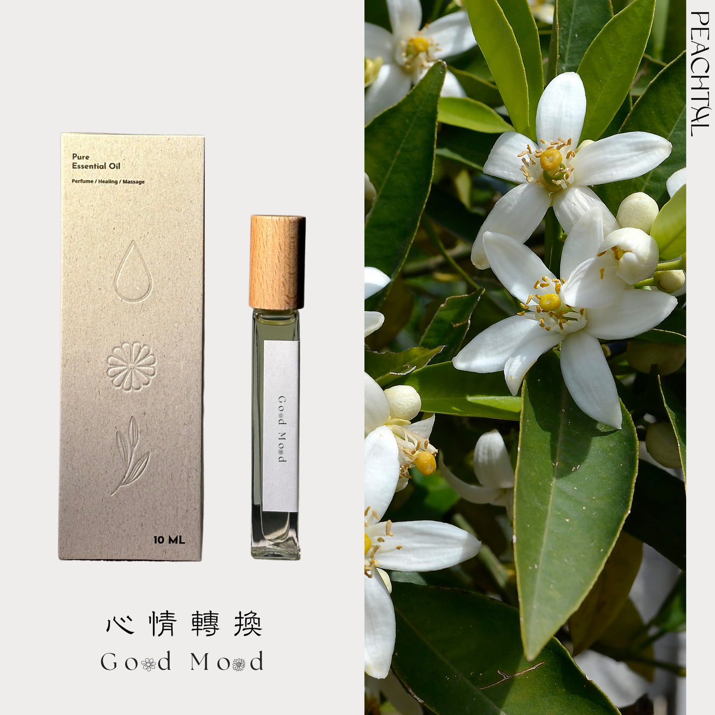 ☪早晨喚醒必備：心情轉換Good Mood