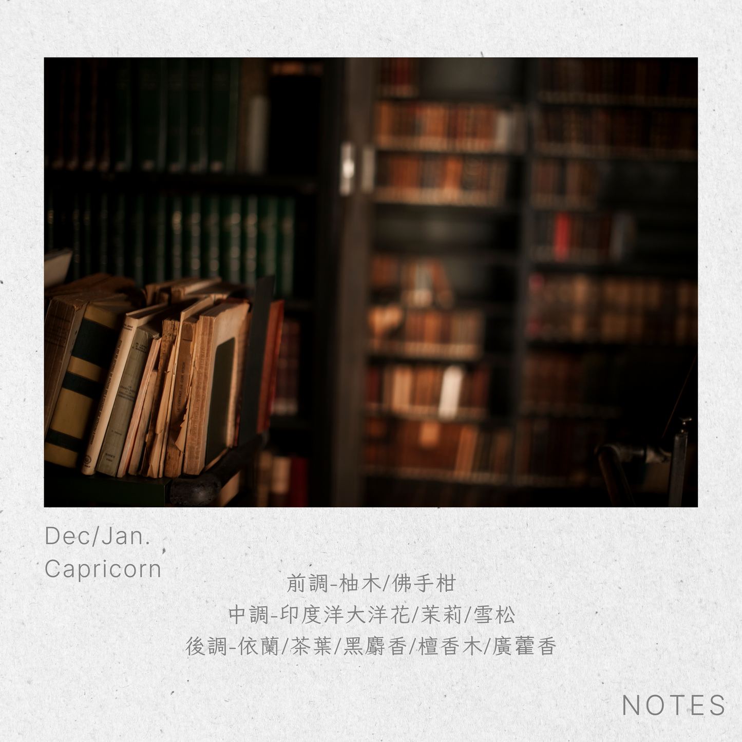 摩羯座-舊圖書館Capricorn-InOldLibrary