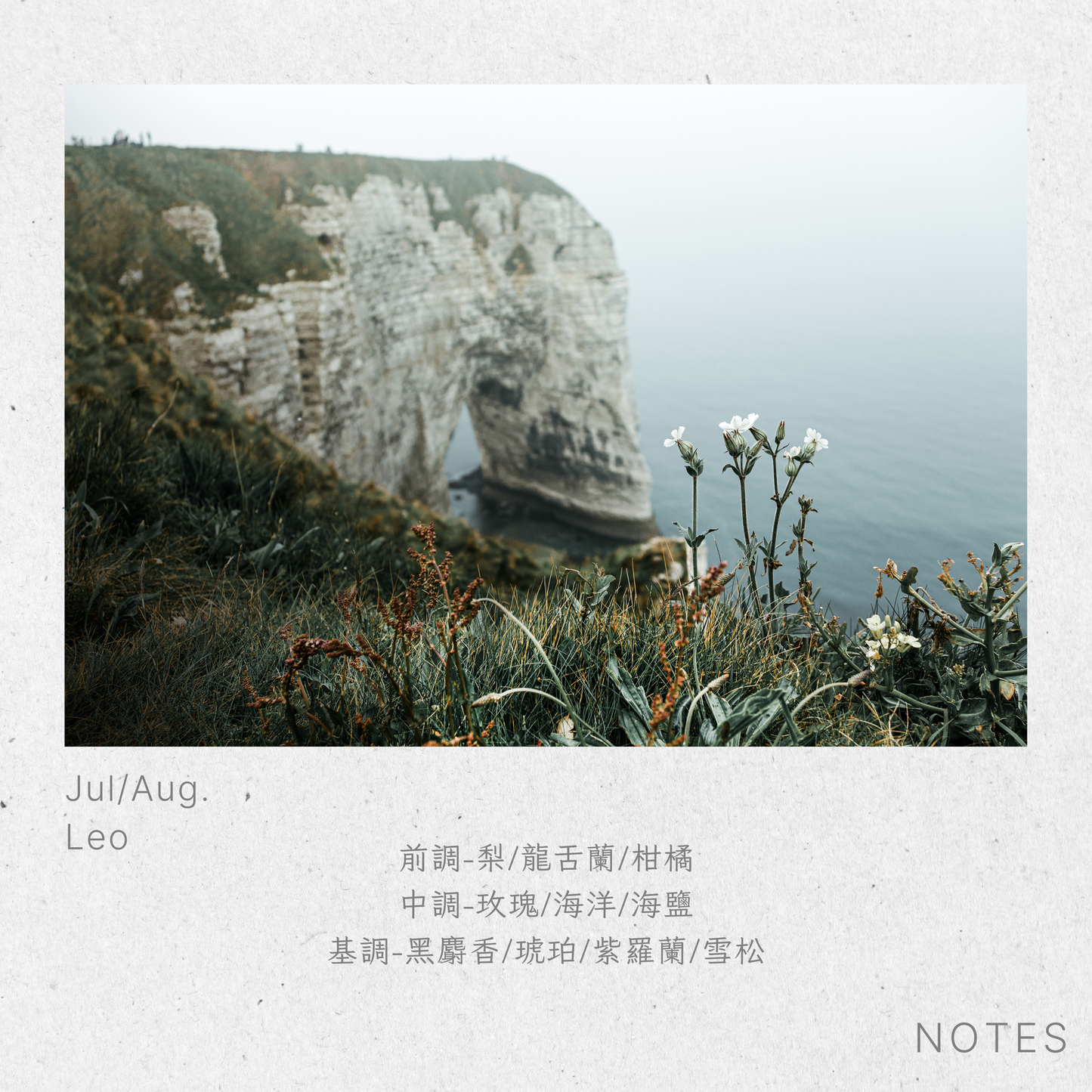 Leo-Cliff Moonflower Leo-Cliff Moonflower