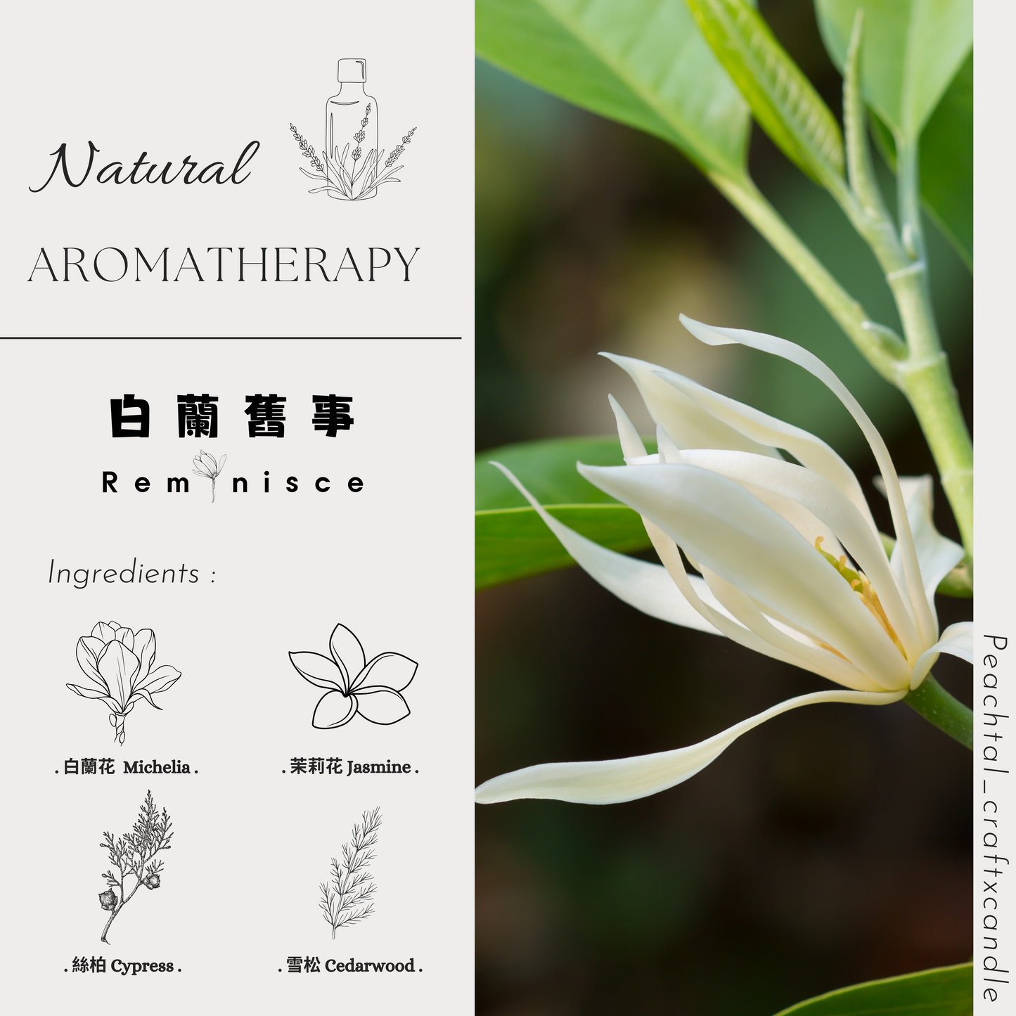 ☪人手一支香水精油：白蘭舊事Reminisce