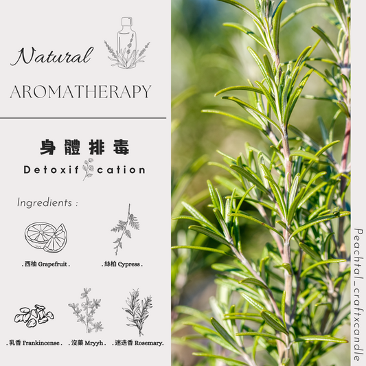 身體排毒Detoxification